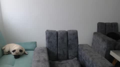 CELESTE online show from February 17, 6:51 pm