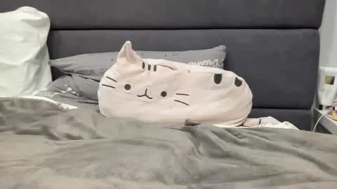 Vicky online show from November 4, 8:47 pm