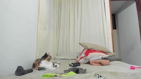 clarise_cooper online show from September 13, 10:45 am