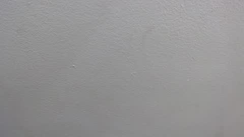 Snapshot of colombia_mommy_ chatting on January 16, 12:31 pm GRETCHEN online show from January 16, 12:31 pm