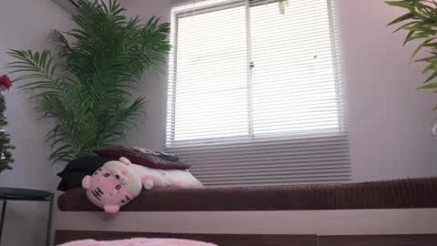 ROSELL 3   online show from December 5, 7:04 pm