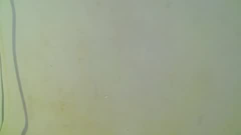 Snapshot of cristal1609 chatting on October 8, 2:32 pm cristal1609 online show from October 8, 2:32 pm