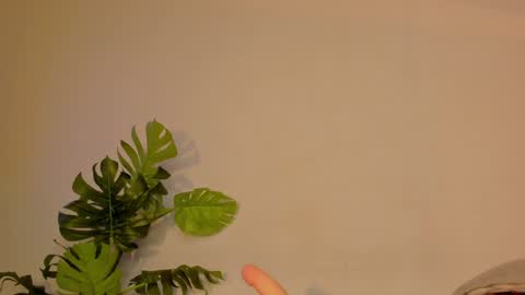 Stacy online show from January 22, 3:31 am