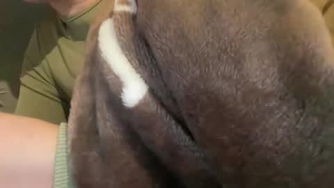 cute_patrice online show from February 13, 5:31 am