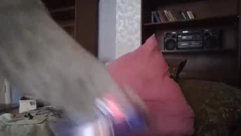 cutekattie online show from February 19, 10:04 am