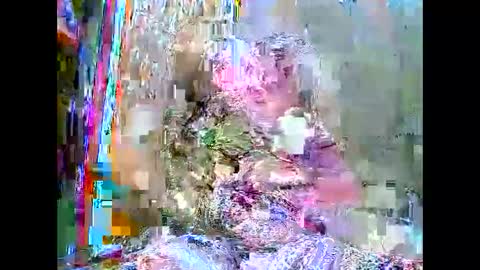 Lalai online show from October 22, 9:09 pm