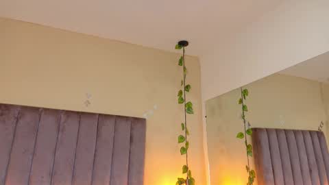 Dahlia online show from March 29, 8:46 am