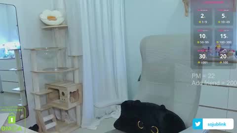 Daisy online show from September 8, 3:33 pm