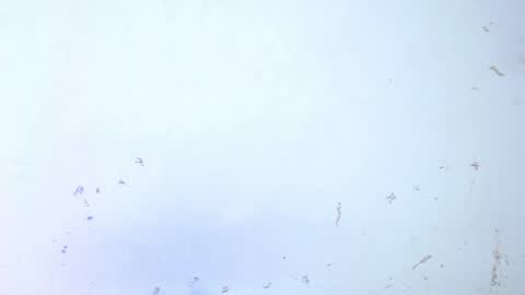 VALENTINA  online show from October 20, 9:12 am