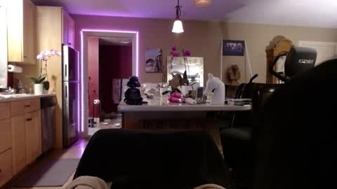 DanikaWhite69 online show from November 24, 11:56 am