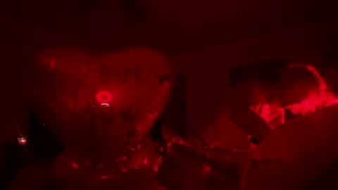 darnette_daisy online show from February 15, 7:51 am