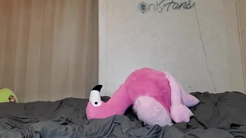 Sofie online show from February 24, 3:20 pm