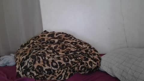 Sofie online show from January 22, 6:31 am