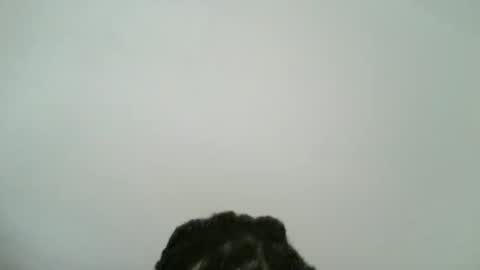 Dolla online show from April 3, 2:26 pm