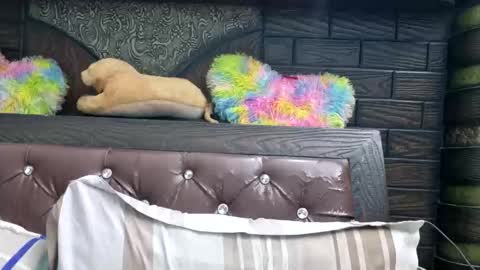 dollmeenu online show from December 4, 5:24 pm