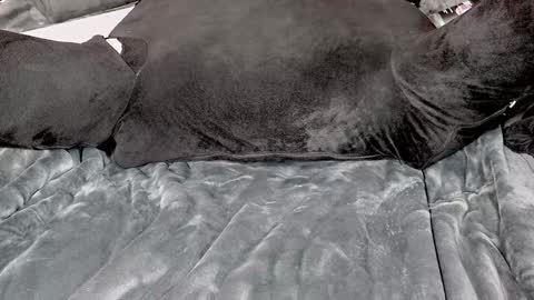 Snapshot of doomednympho chatting on December 14, 9:56 pm DOOM online show from December 14, 9:56 pm