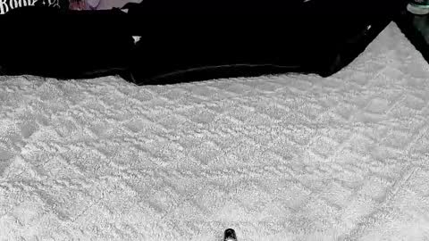 Snapshot of doomednympho chatting on March 6, 7:32 pm DOOM online show from March 6, 7:32 pm