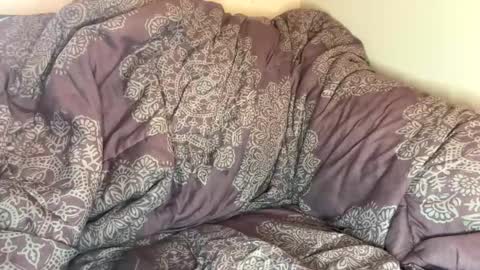 dove_love22 online show from October 22, 6:24 pm