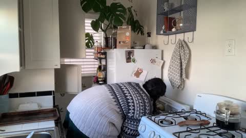 RIRI OR DREAMY online show from January 27, 5:26 pm