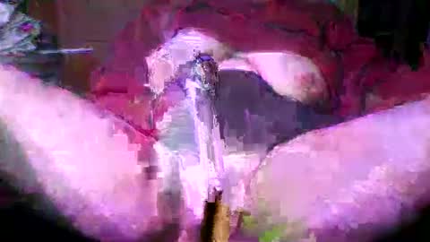 e501024 online show from February 6, 5:57 am