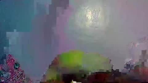 Noel online show from January 10, 6:06 pm