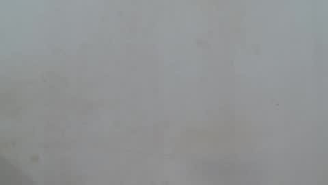 queen online show from February 22, 3:35 pm