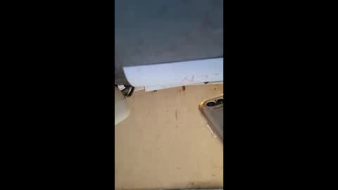 elaine33mae online show from March 3, 6:41 am