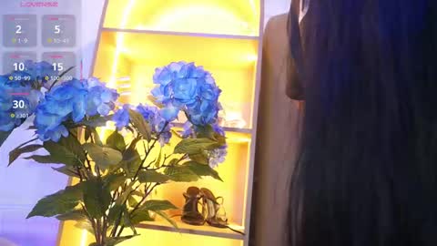 Elasummeer online show from November 25, 12:07 pm