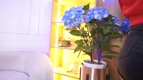 Elasummeer online show from January 14, 11:59 am