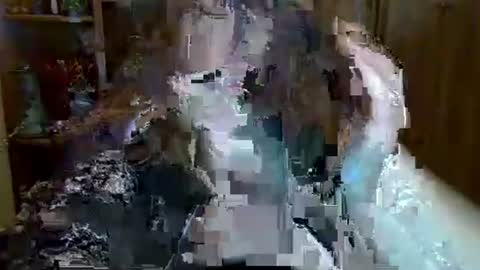 ElenaZed online show from January 19, 4:14 pm