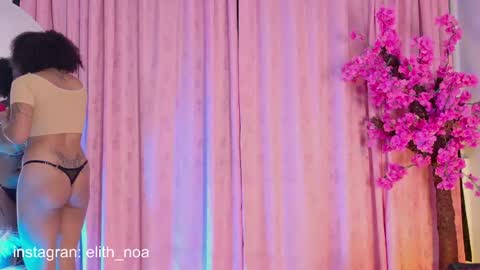 elit noa online show from April 16, 3:29 am