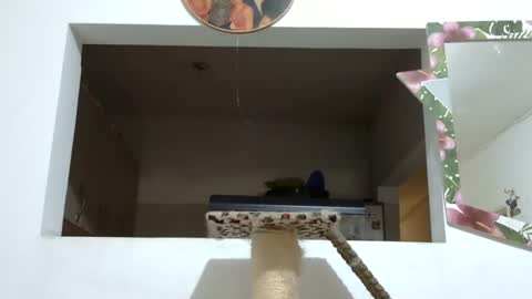 Snapshot of elizabeth_martinez_ chatting on January 22, 6:41 pm Elizabeth Martinez online show from January 22, 6:41 pm