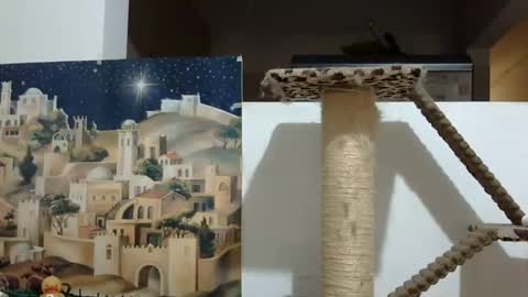 Snapshot of elizabeth_martinez_ chatting on December 29, 5:54 pm Elizabeth Martinez online show from December 29, 5:54 pm