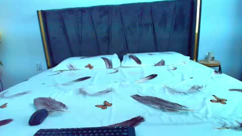 Ely online show from February 18, 5:53 am