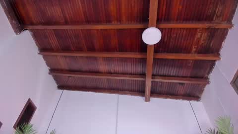 Emily  online show from November 15, 10:49 am