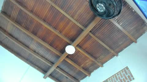 Emily  online show from February 20, 11:01 am