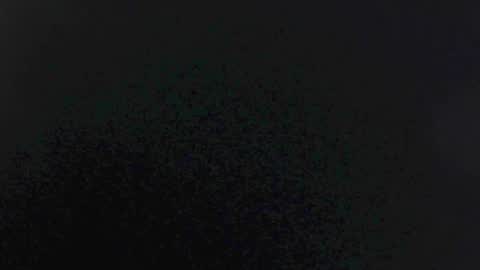 EMI online show from November 3, 11:14 am