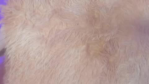 Snapshot of emy_colee chatting on February 6, 10:04 am Emy online show from February 6, 10:04 am