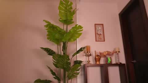 Erikabee online show from April 30, 8:36 pm