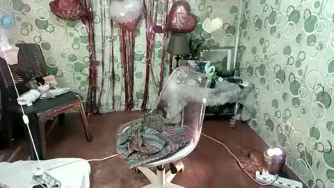 exoticapril01 online show from February 22, 7:48 pm