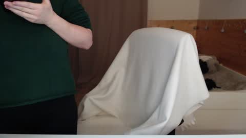 Crystal online show from December 2, 4:51 pm