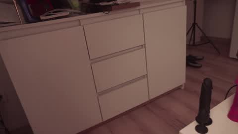 Snapshot of fairy_lise69 chatting on December 29, 10:57 pm Kamila online show from December 29, 10:57 pm