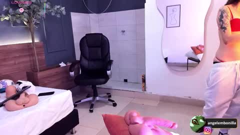 Megan    630  1330 -5 online show from November 25, 12:40 pm