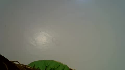 flowerdiva002 online show from December 20, 9:08 pm