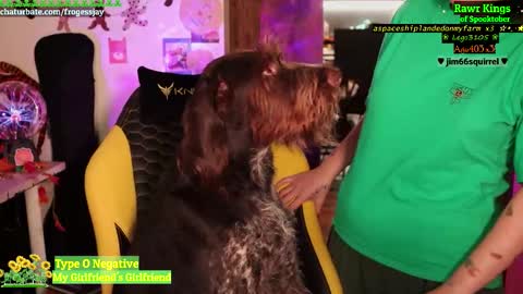   Jaywise Frogfoot  online show from October 15, 8:00 pm