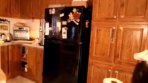 fuckmypussyplz1 online show from March 18, 12:15 am