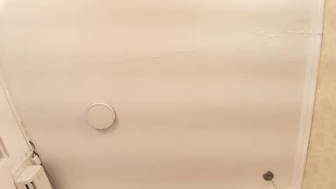 genesisrayden online show from March 4, 8:15 pm