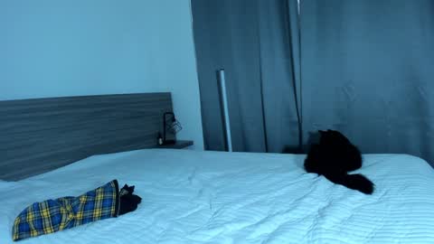 giannasue online show from January 11, 6:01 pm