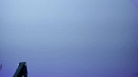 Kendall online show from December 15, 1:05 pm