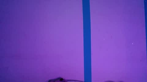 Alejandra online show from April 3, 6:44 am